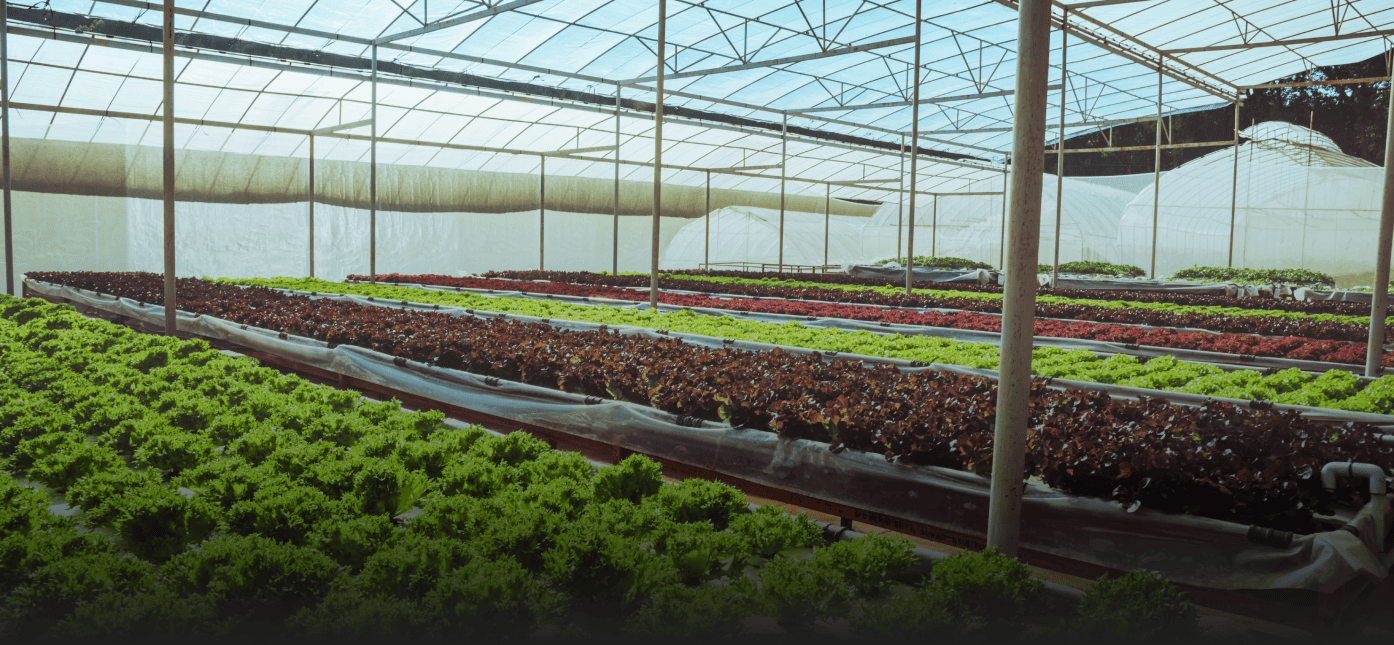 Agriculture
