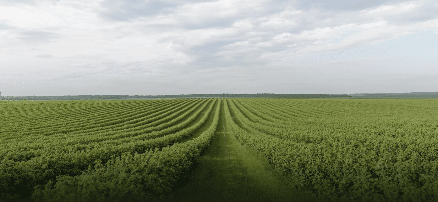 Agriculture